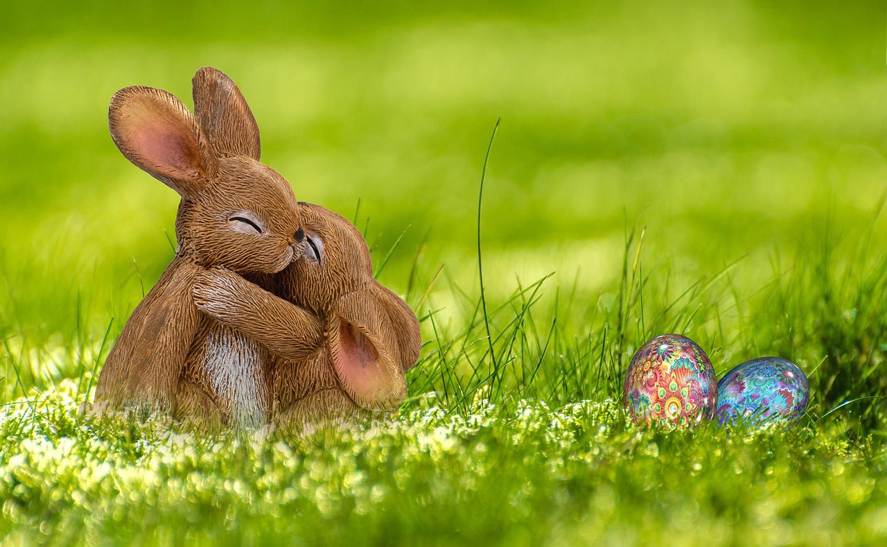 Mamba Easter Easter Liquor and fun – Kookaburra Estate