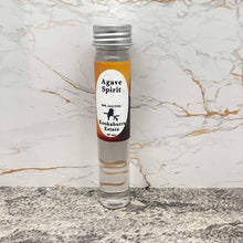 Load image into Gallery viewer, Agave Spirit
