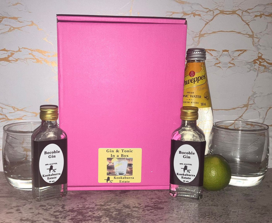 Gin & Tonic in a Box